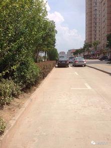 网友爆料金星小区视频,揭秘小区生活点滴